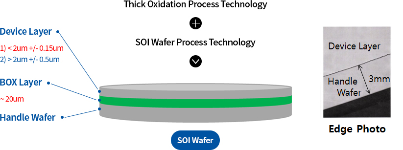OI Wafer의 구조